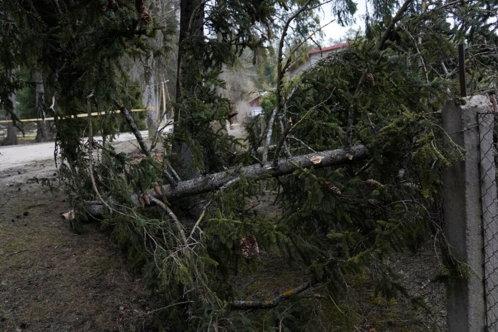 26. marta postījumi Ogrē.
Autors: Foto: Edijs Pālens, LETA