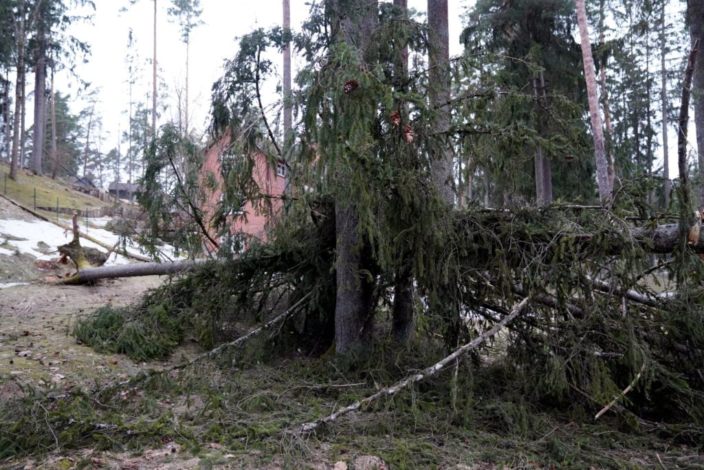 26. marta postījumi Ogrē.
Autors: Foto: Edijs Pālens, LETA