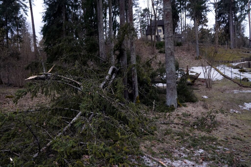 26. marta postījumi Ogrē.
Autors: Foto: Edijs Pālens, LETA