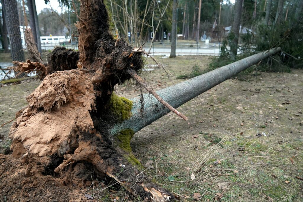 26. marta postījumi Ogrē.
Autors: Foto: Edijs Pālens, LETA