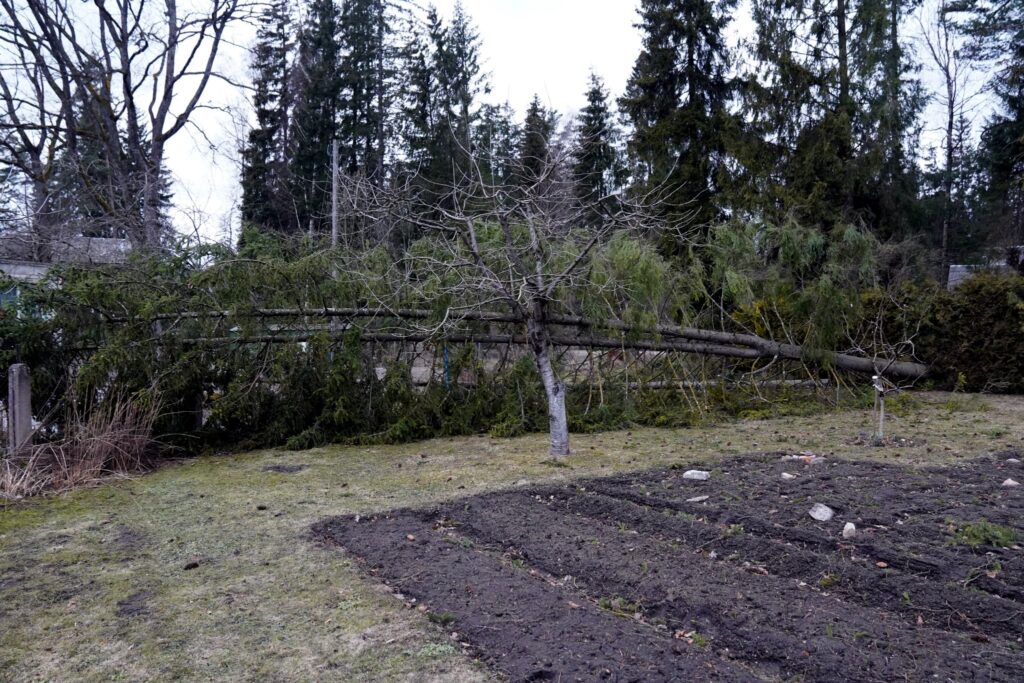 26. marta postījumi Ogrē.
Autors: Foto: Edijs Pālens, LETA