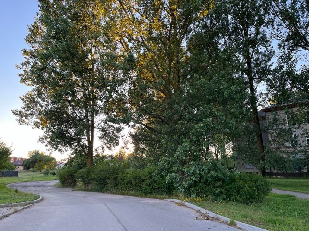 Aluksniesiem.lv raksta attēla aizvietotājs