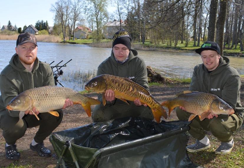 Aluksniesiem.lv raksta attēla aizvietotājs