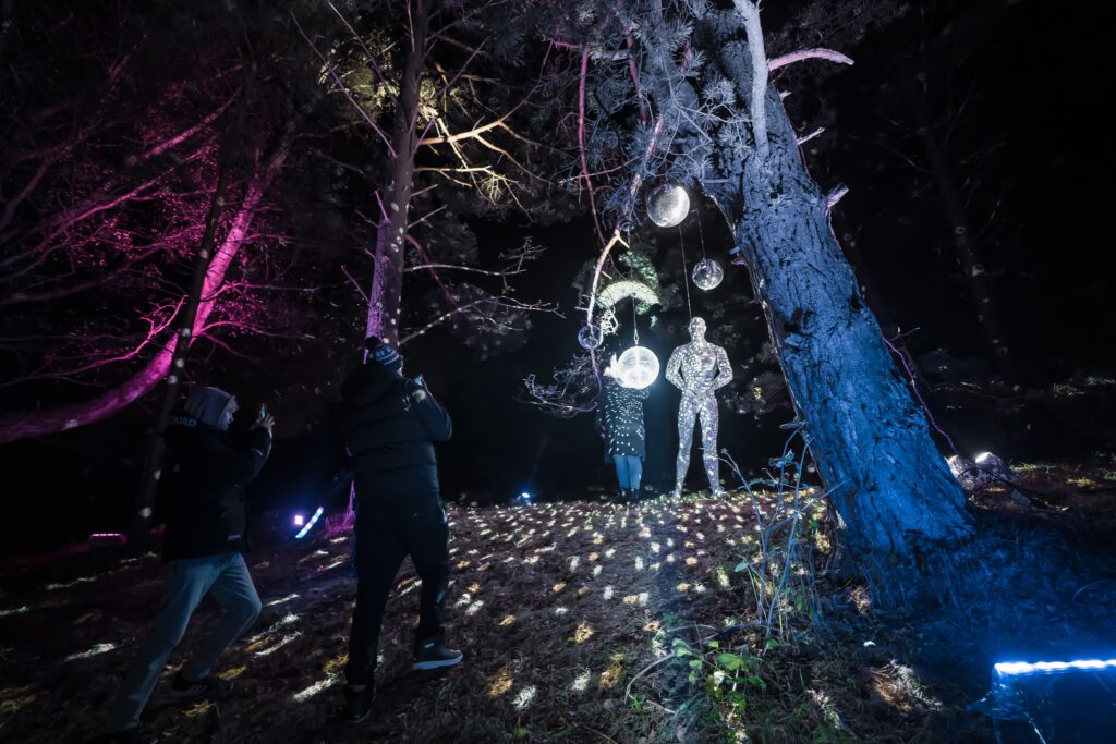 Aluksniesiem.lv raksta attēla aizvietotājs