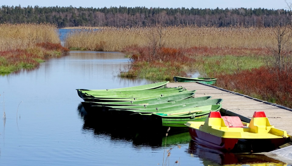 Aluksniesiem.lv raksta attēla aizvietotājs
