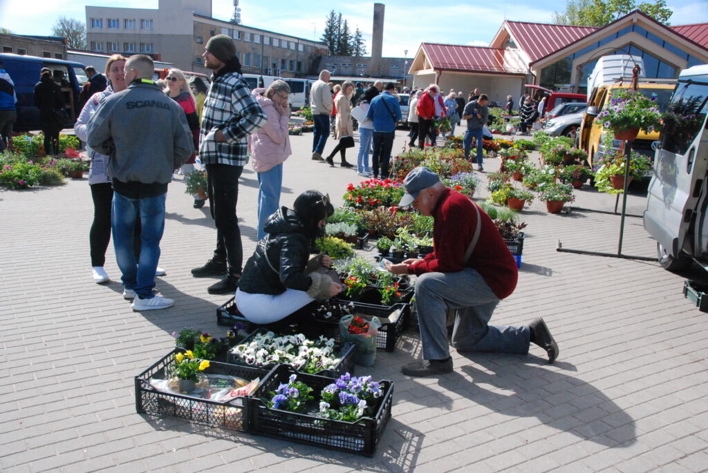 Aluksniesiem.lv raksta attēla aizvietotājs