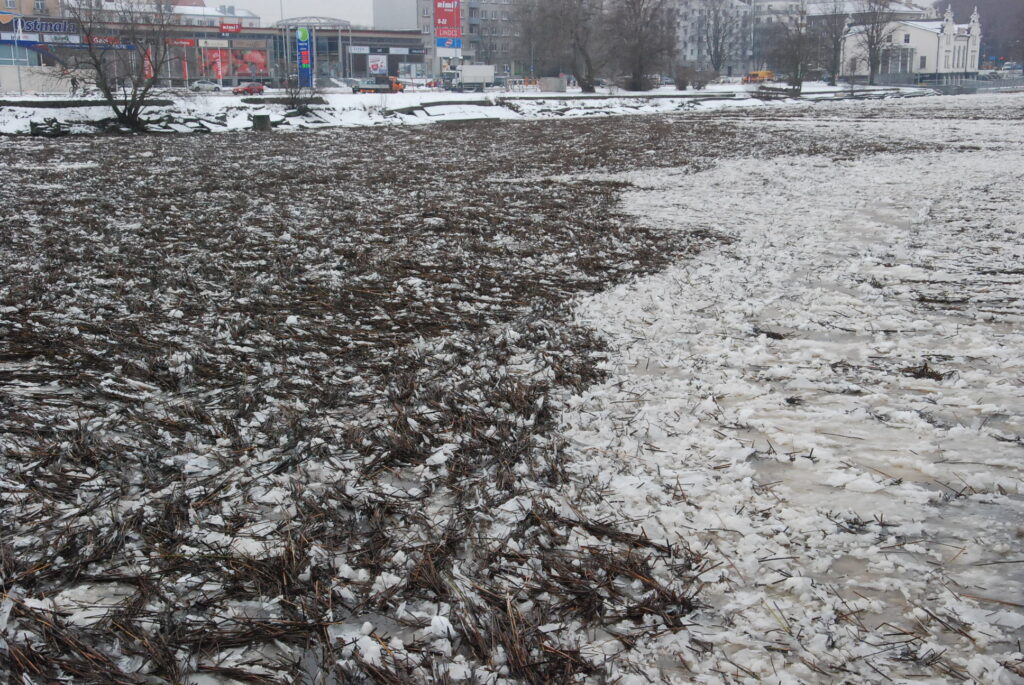 Autors: Foto - Uldis Dobelis