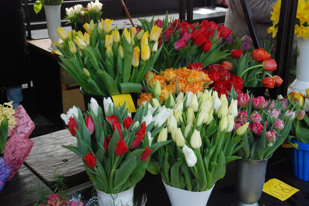 Autors: Foto - Uldis Dobelis