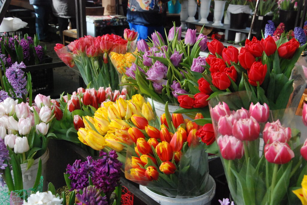 Autors: Foto - Uldis Dobelis