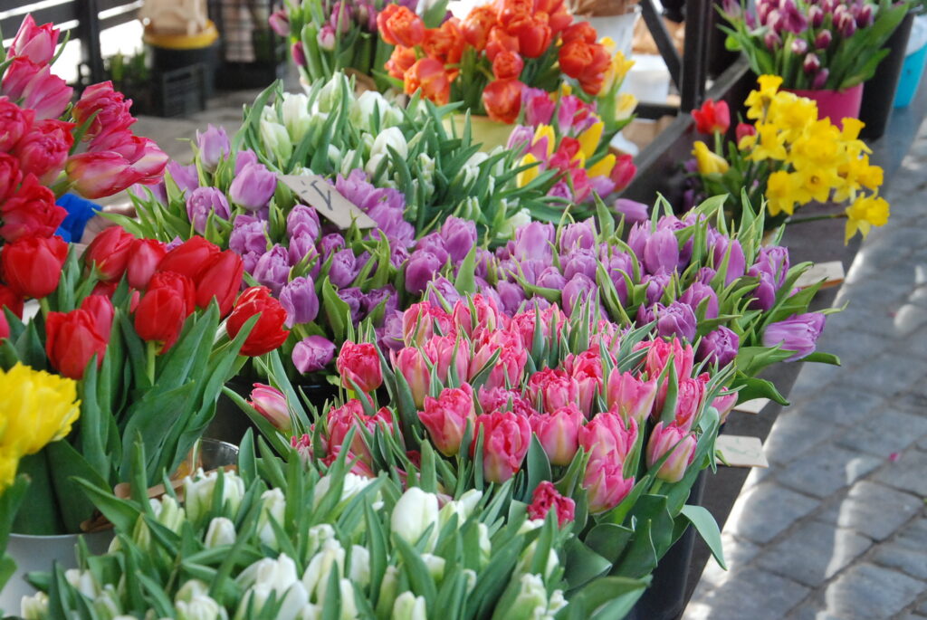 Autors: Foto - Uldis Dobelis