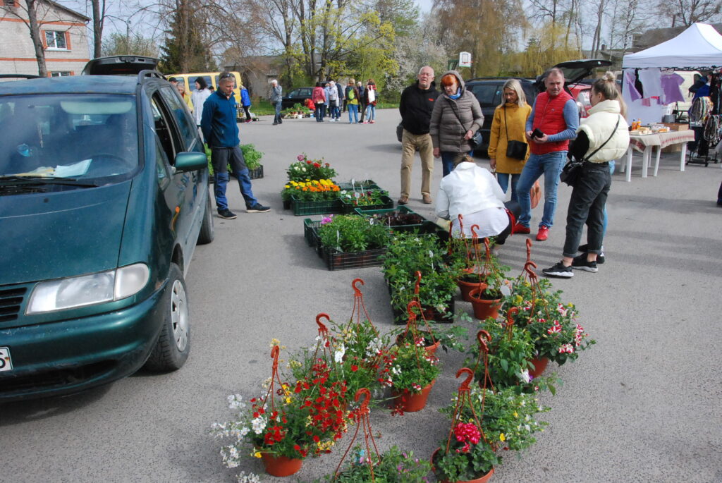 Aluksniesiem.lv raksta attēla aizvietotājs
