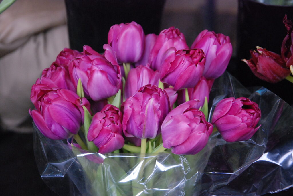 Autors: Foto - Uldis Dobelis