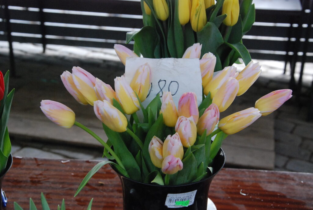 Autors: Foto - Uldis Dobelis