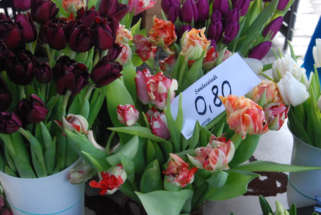 Autors: Foto - Uldis Dobelis