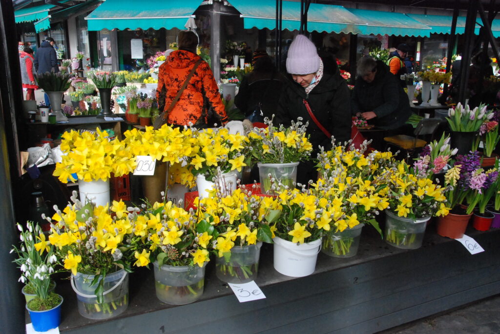 Autors: Foto - Uldis Dobelis