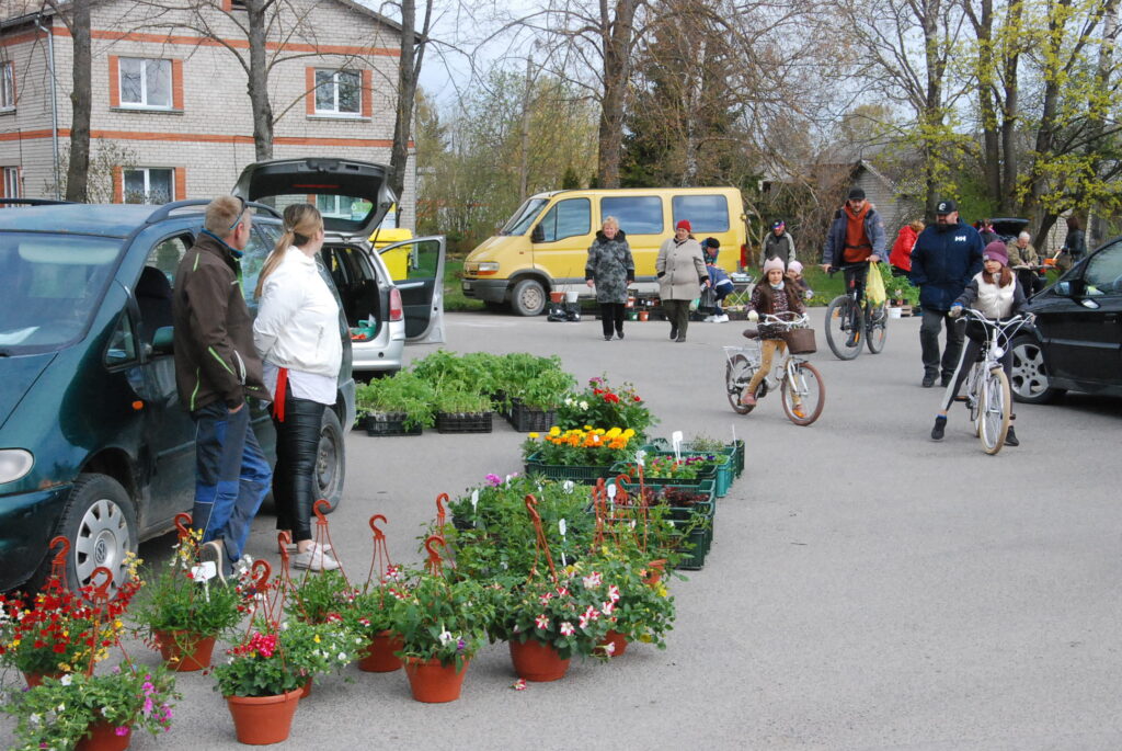 Aluksniesiem.lv raksta attēla aizvietotājs