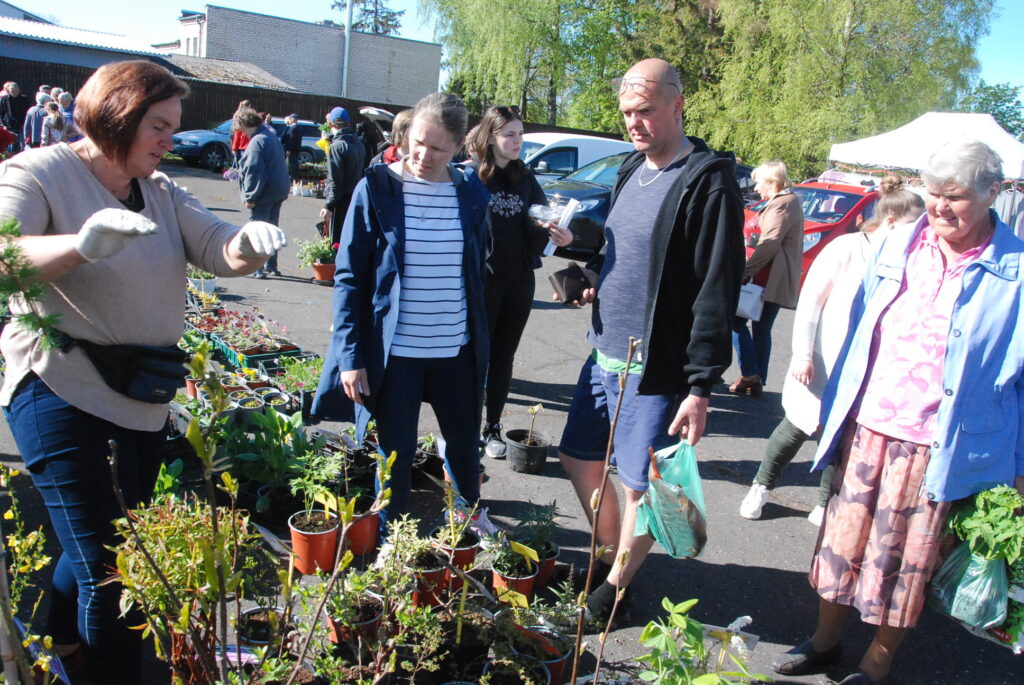 Aluksniesiem.lv raksta attēla aizvietotājs