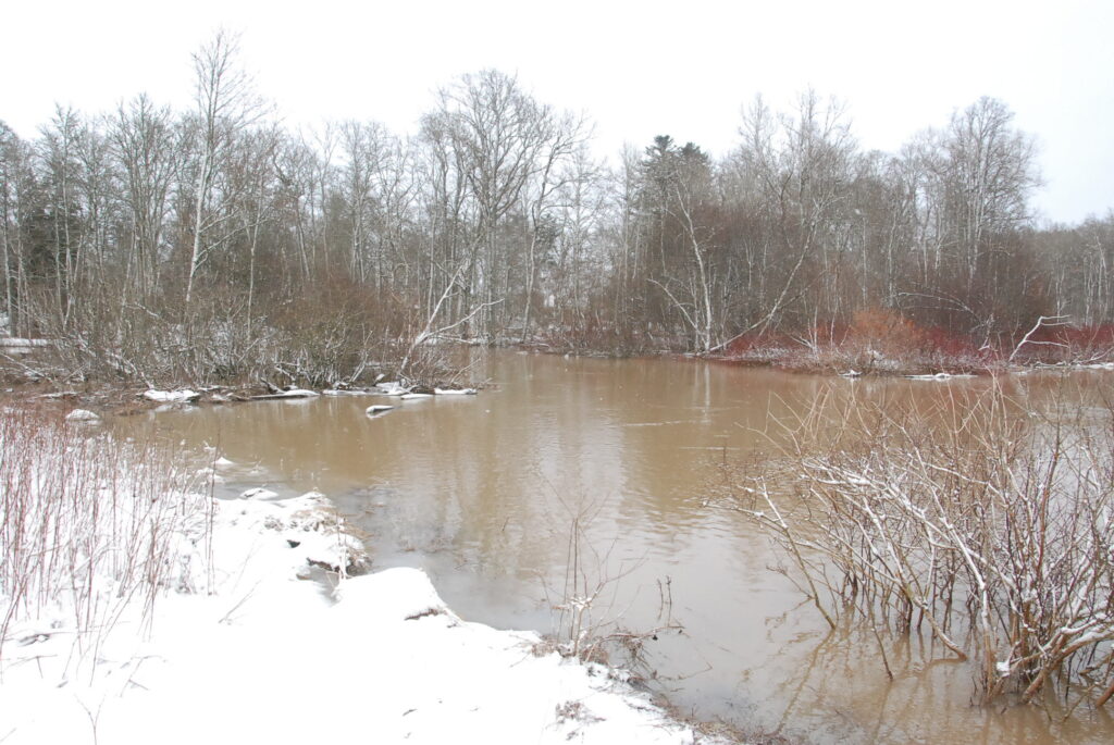 Autors: Foto - Uldis Dobelis
