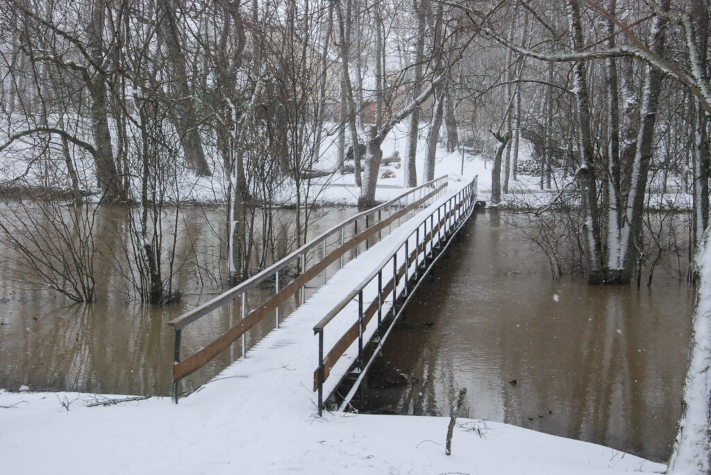 Autors: Foto - Uldis Dobelis