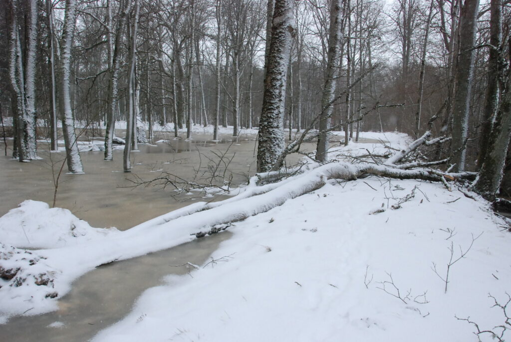 Autors: Foto - Uldis Dobelis