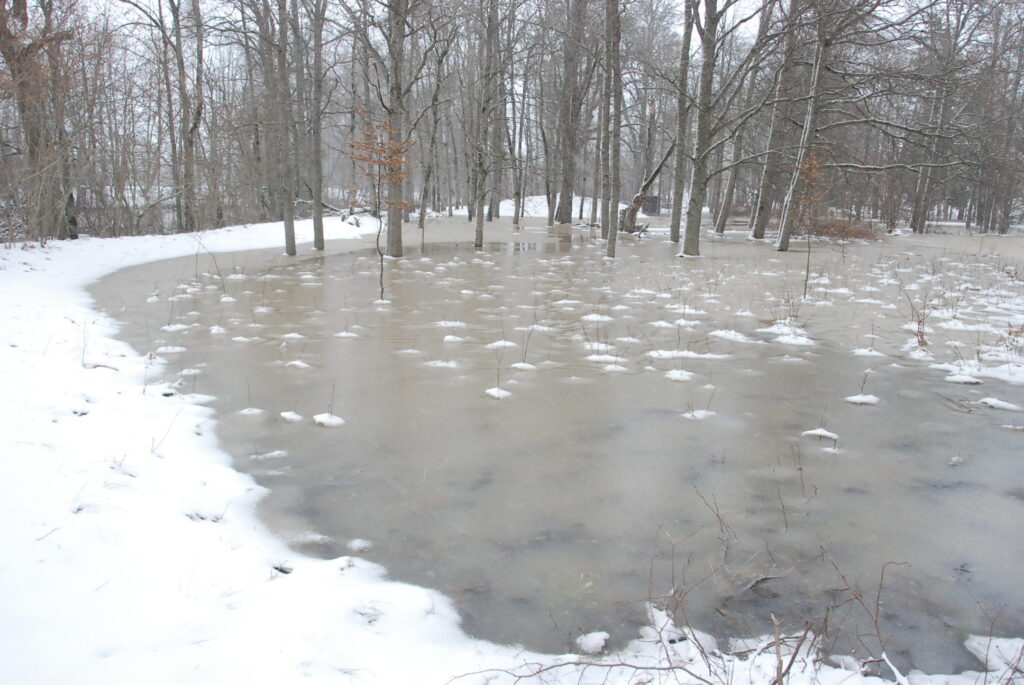 Autors: Foto - Uldis Dobelis