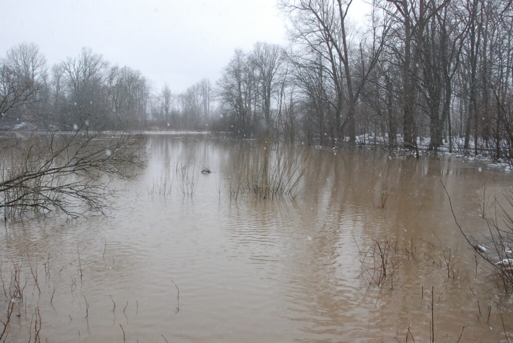 Autors: Foto - Uldis Dobelis