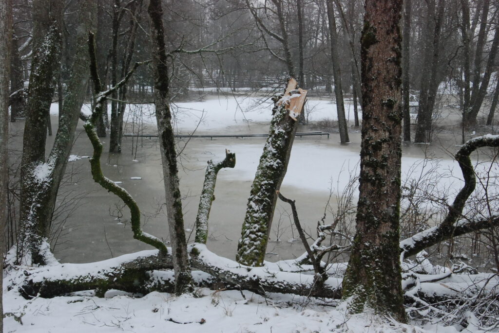 Autors: Foto - Uldis Dobelis