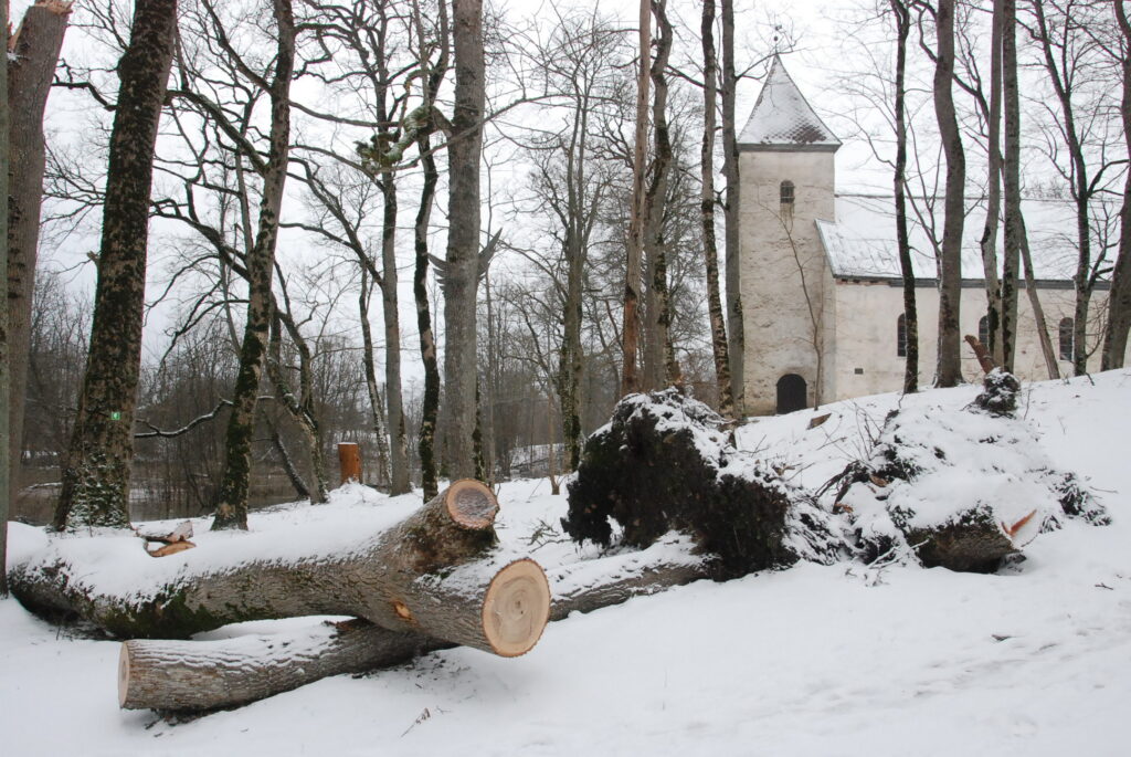 Autors: Foto - Uldis Dobelis