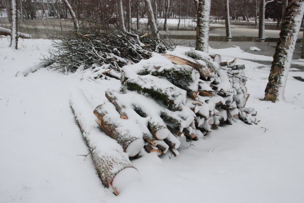 Autors: Foto - Uldis Dobelis