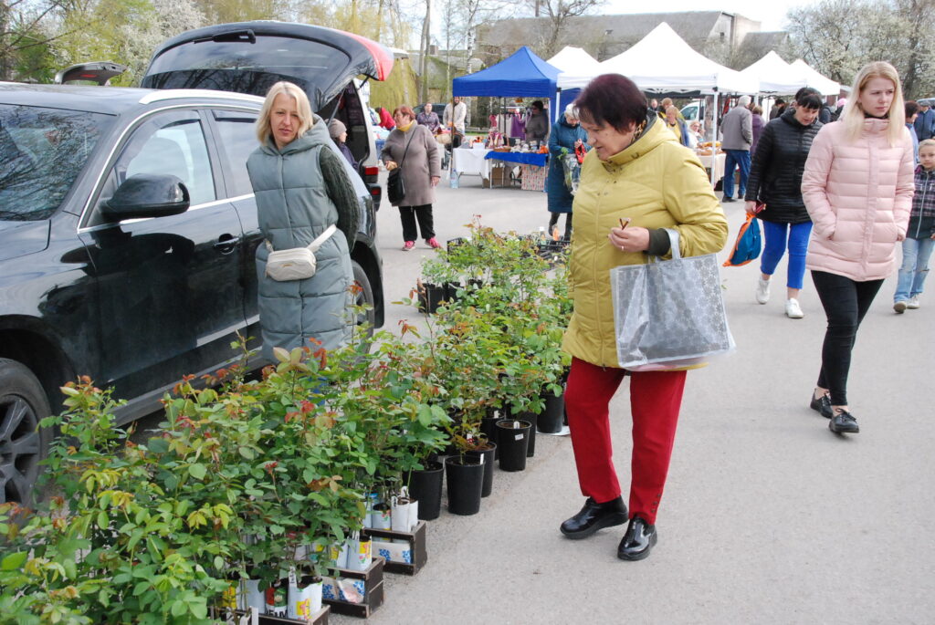 Aluksniesiem.lv raksta attēla aizvietotājs
