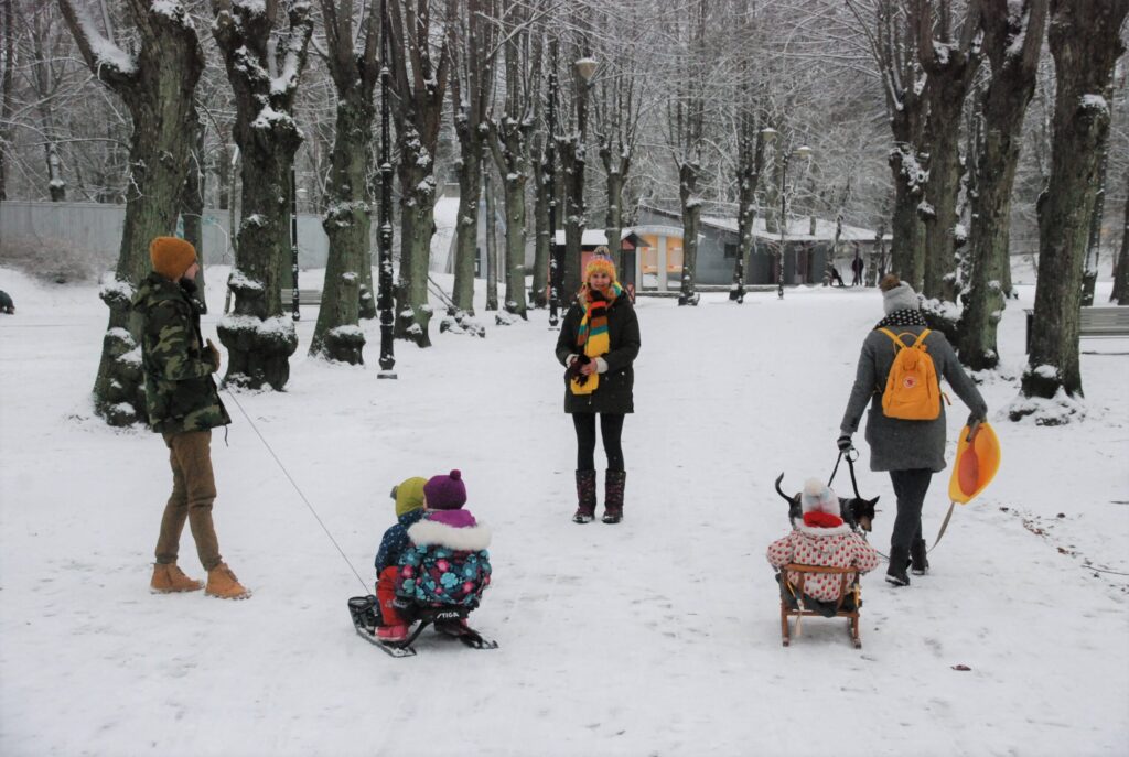 Aluksniesiem.lv raksta attēla aizvietotājs