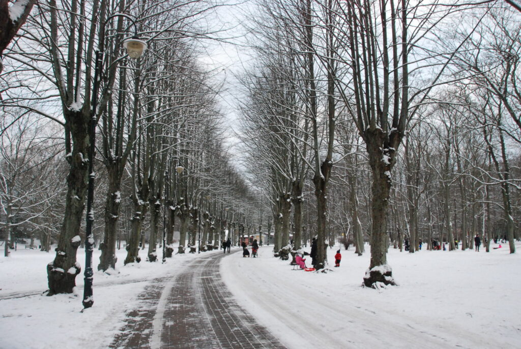 Aluksniesiem.lv raksta attēla aizvietotājs