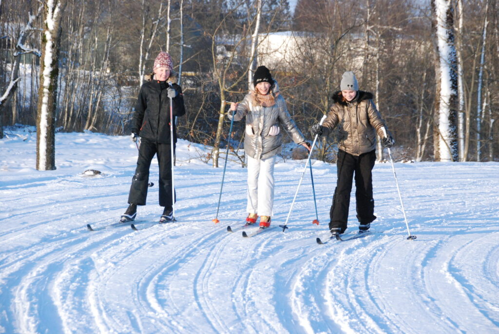 Aluksniesiem.lv raksta attēla aizvietotājs