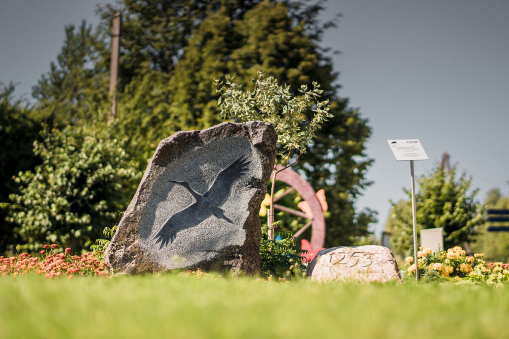 Aluksniesiem.lv raksta attēla aizvietotājs