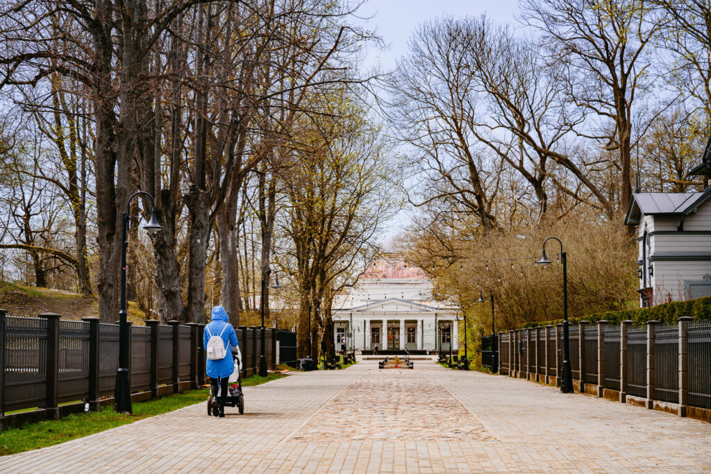 Aluksniesiem.lv raksta attēla aizvietotājs