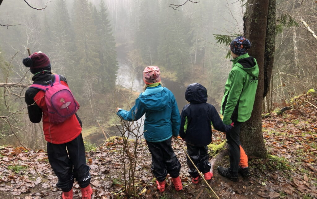 Aluksniesiem.lv raksta attēla aizvietotājs
