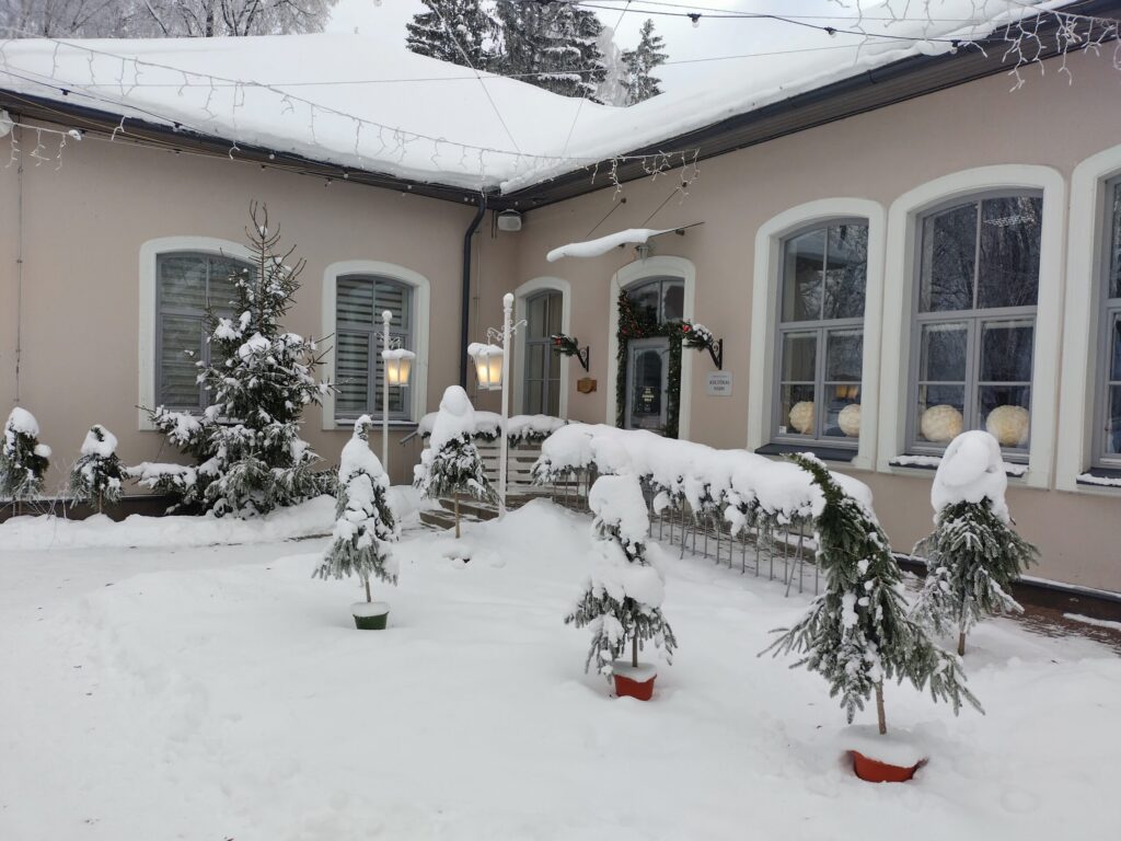 Aluksniesiem.lv raksta attēla aizvietotājs