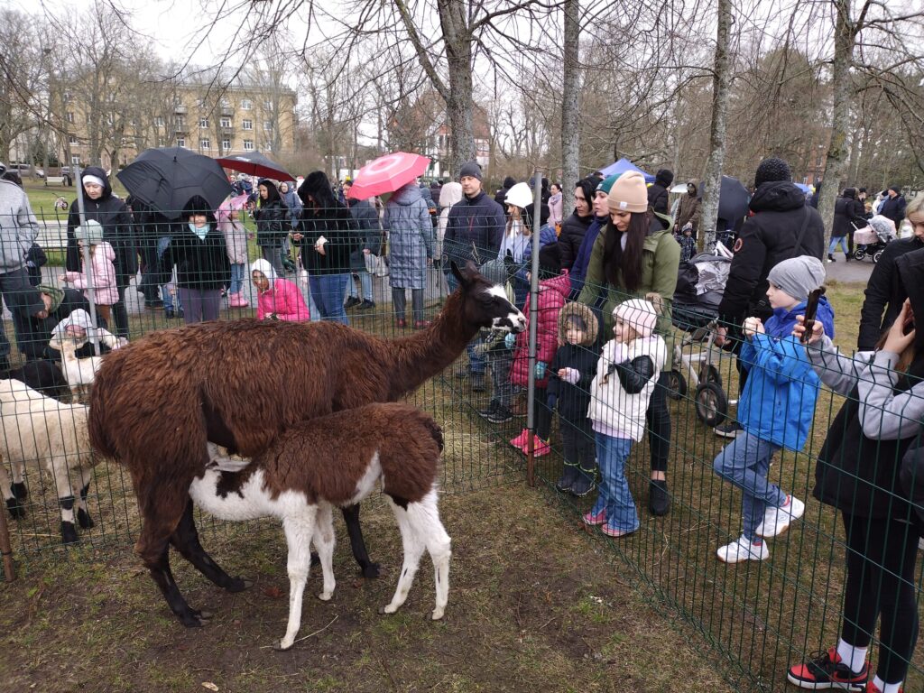 Aluksniesiem.lv raksta attēla aizvietotājs