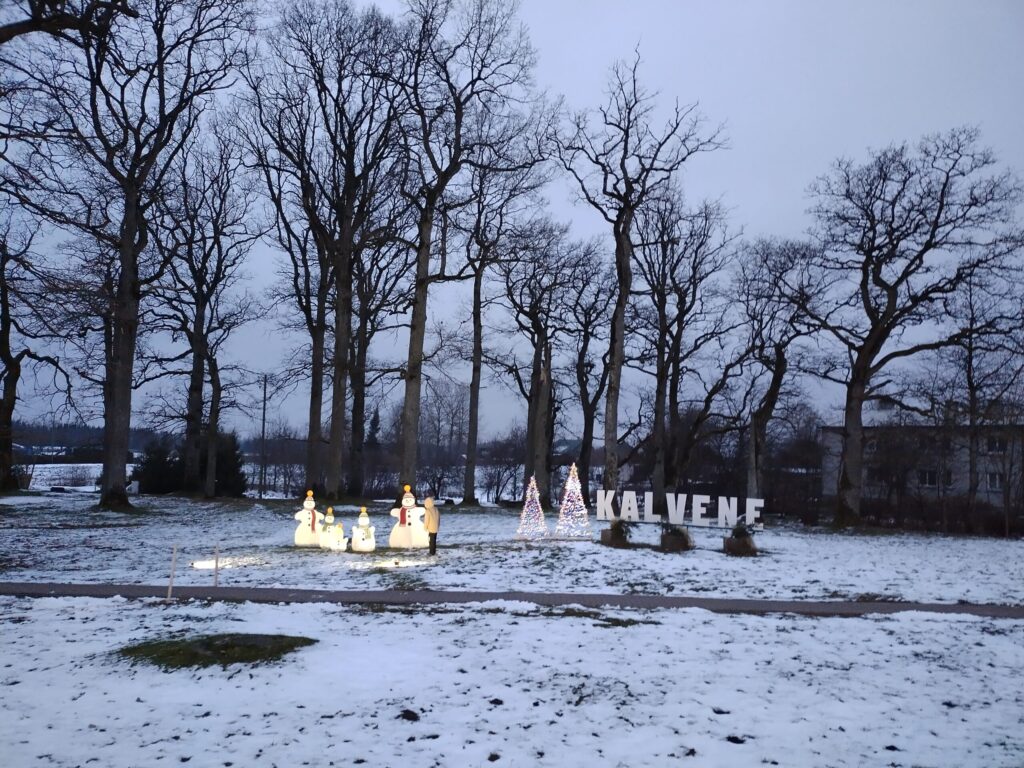 Aluksniesiem.lv raksta attēla aizvietotājs