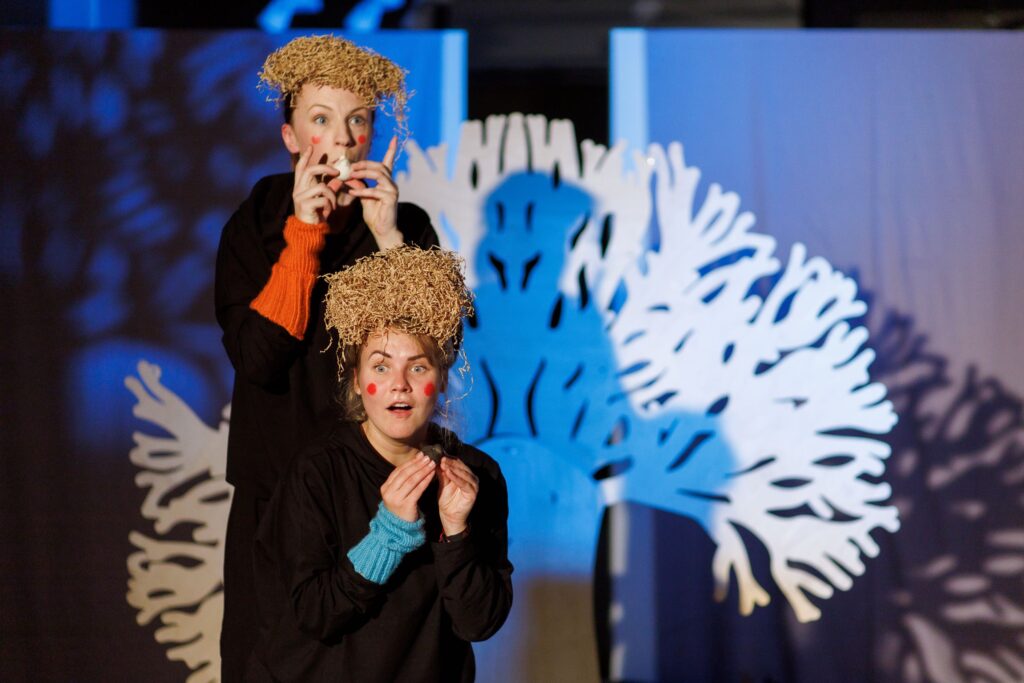 Aluksniesiem.lv raksta attēla aizvietotājs