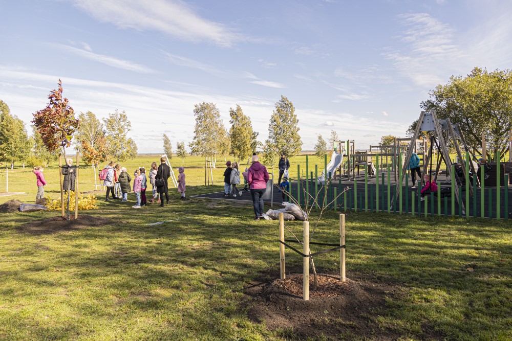 Aluksniesiem.lv raksta attēla aizvietotājs
