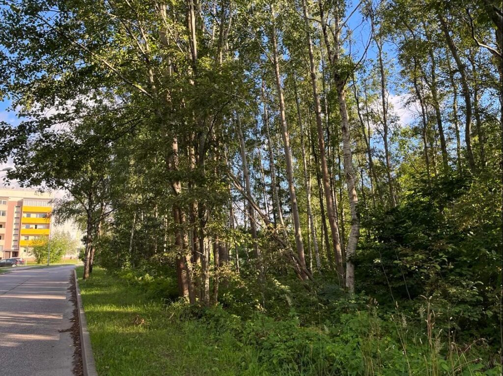 Aluksniesiem.lv raksta attēla aizvietotājs