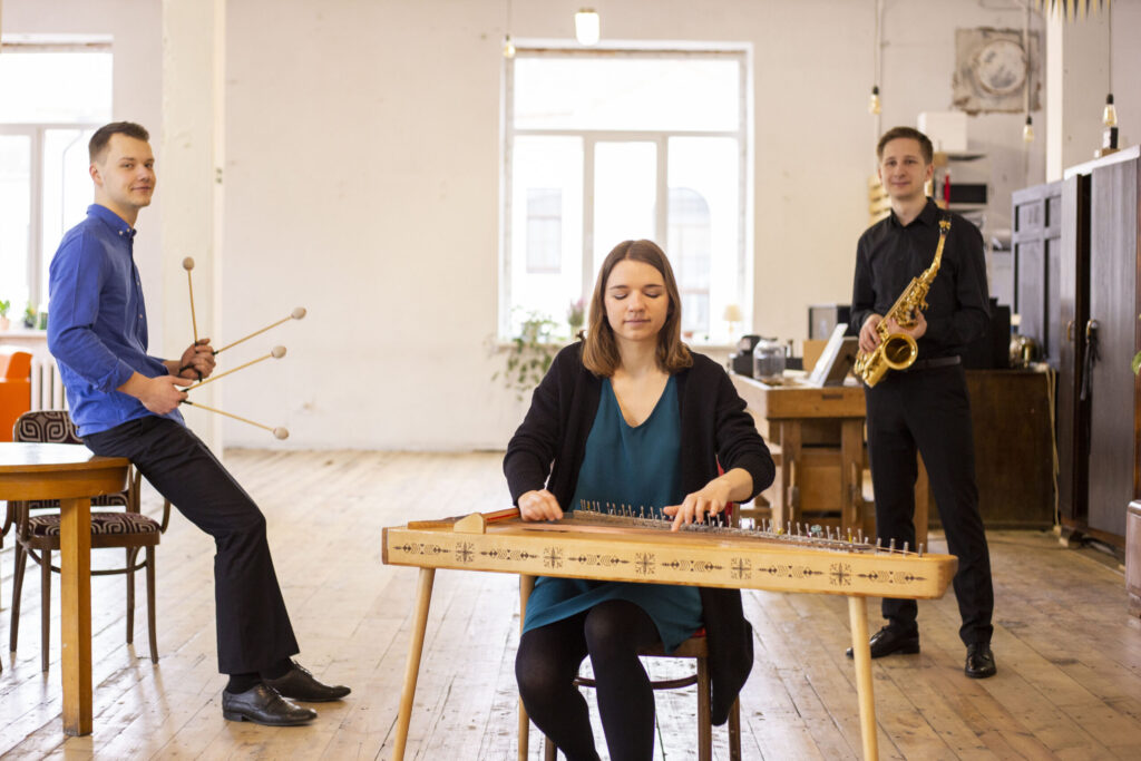 Aluksniesiem.lv raksta attēla aizvietotājs