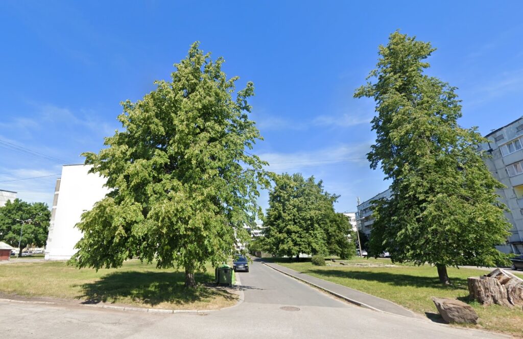 Aluksniesiem.lv raksta attēla aizvietotājs