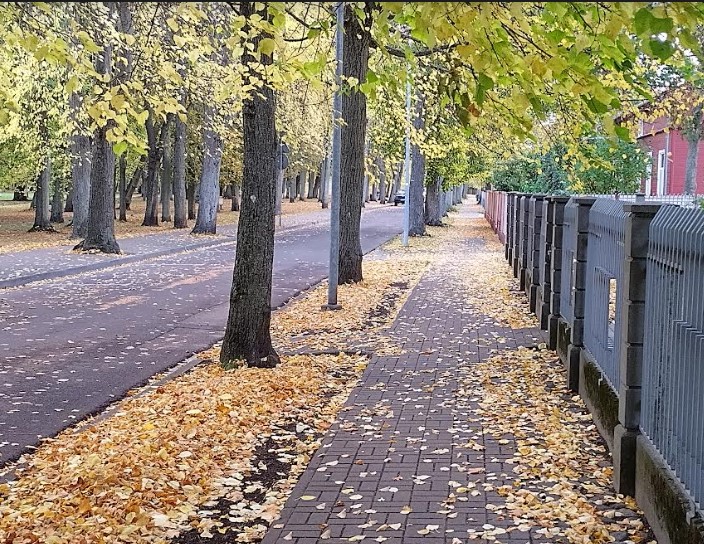 Aluksniesiem.lv raksta attēla aizvietotājs