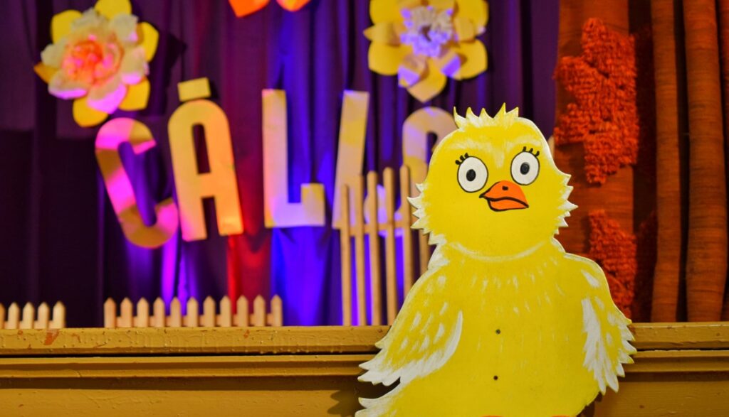 Aluksniesiem.lv raksta attēla aizvietotājs