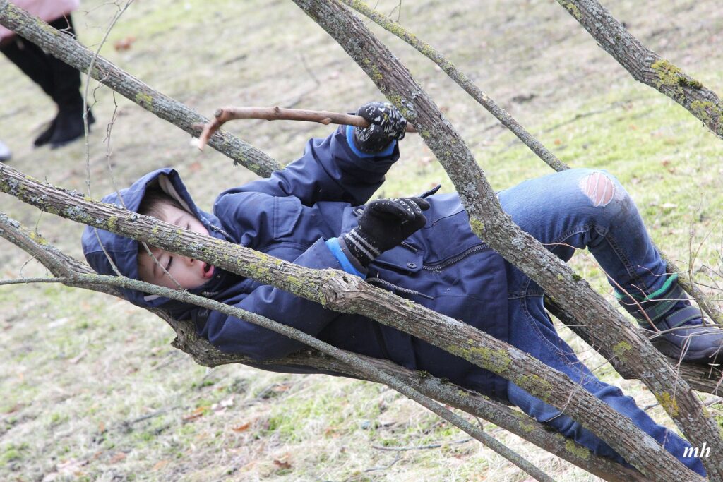 Autors: Foto - Modris Helds