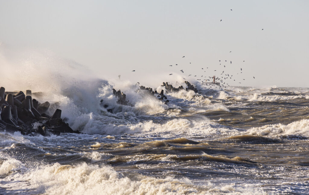 Autors: Foto - Aigars Prūsis