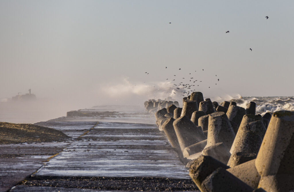 Autors: Foto - Aigars Prūsis