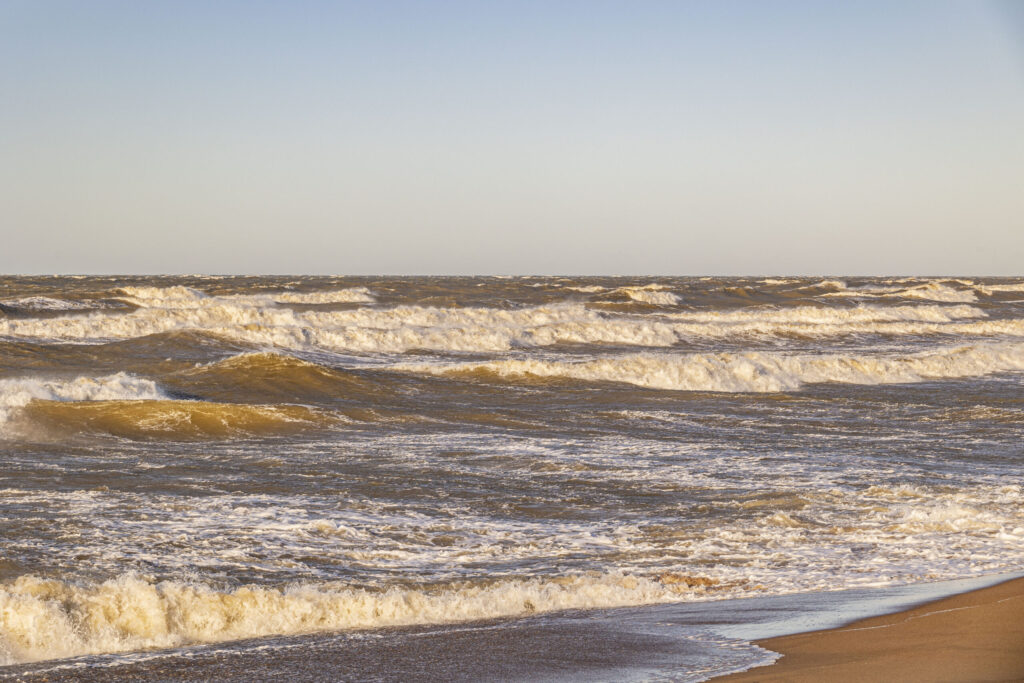 Autors: Foto - Aigars Prūsis
